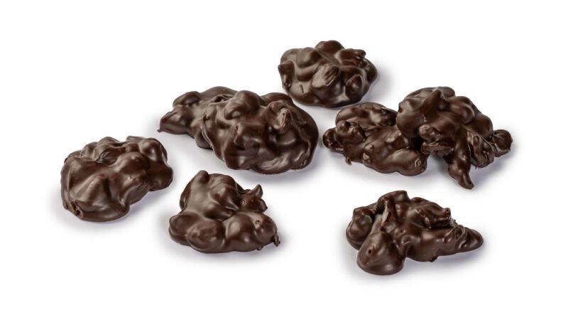 Chocolade Cranberry rots puur